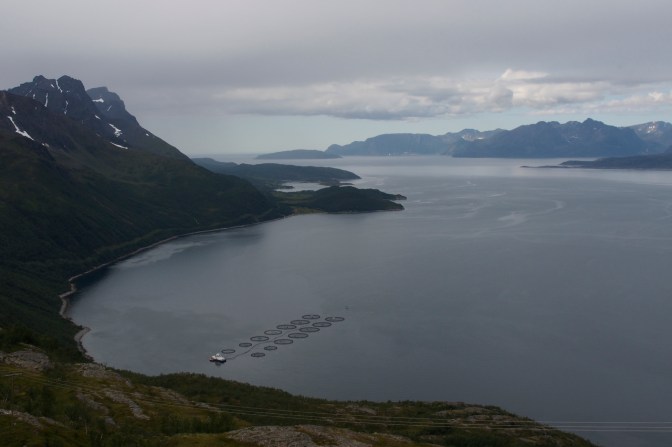 The view of Kvenangen Fiord from the pass above Oksfjordhamn.
