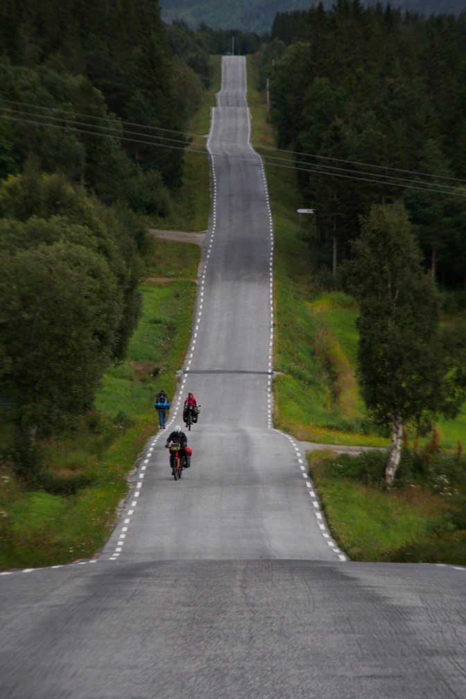 Route 771 near Naustbukta.