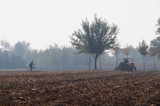 Rural scene south of Bassano del Grappa.