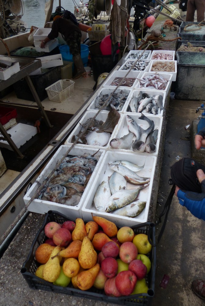 Chioggia fish market.