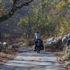 Finding Our Way Around