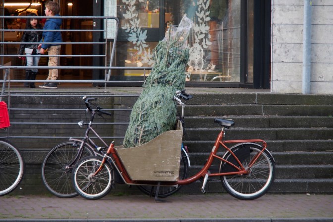 Picking up a Christmas tree with the bicycle. Why not!