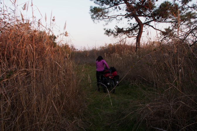 Finding a place to camp near Port Lagos.