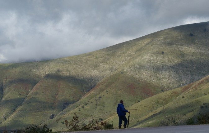 A shepherd watching over his flock on the road through Mt. I Gjer pass.