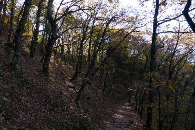 Trail down to one of the monasteries in Meteorea.