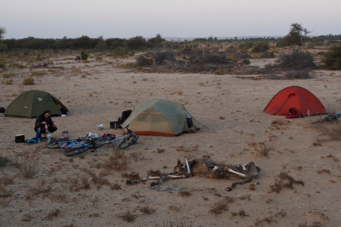 Dead camel camp.