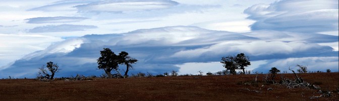 Cool clouds and wind-blown trees.