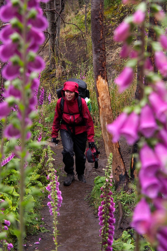Hiking to Campamento Grey.