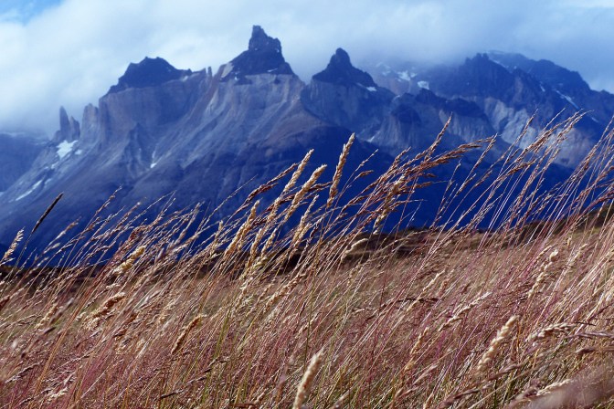Hiking through pampas to Campemento Paine Grande