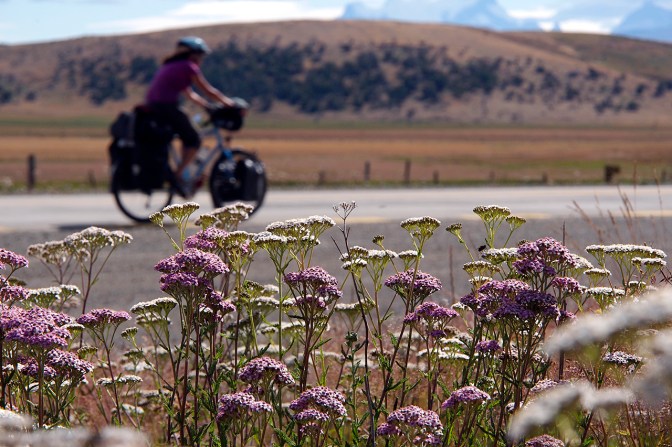 North of Puerto Natales