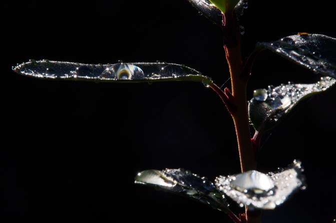 A sunny morning after a we night.