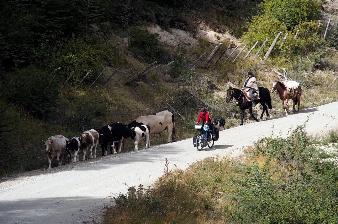 Traffic is light on the Carretera Austral.