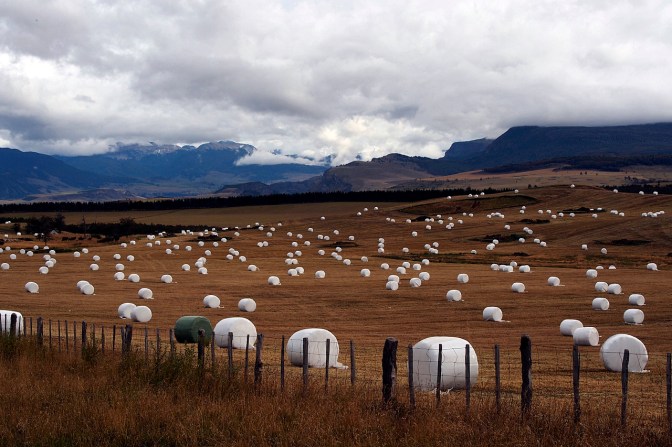 Rolling grasslands nearing Coyhaique.
