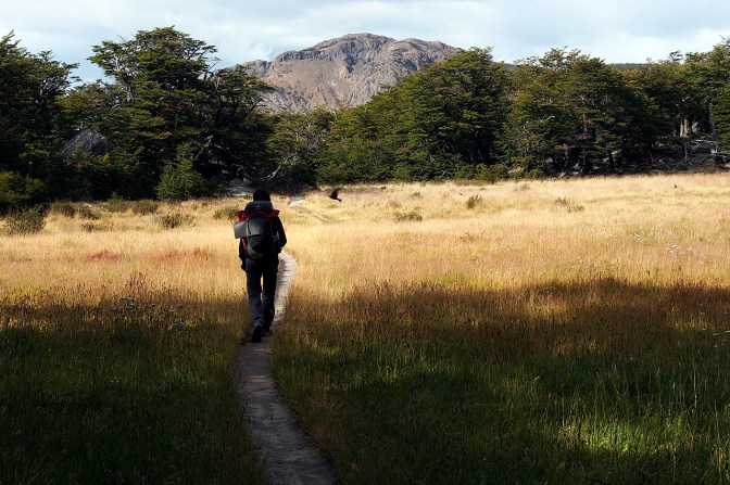 Hiking from Poincenot to De Agostini camp.