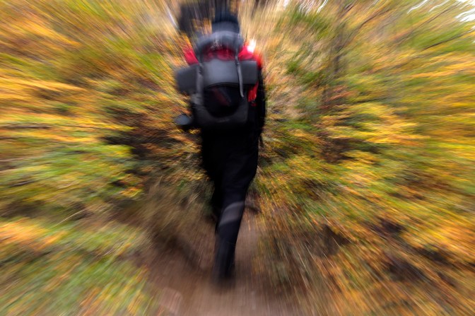 Fall colours are starting to show themselves.