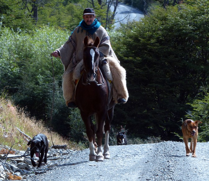 Gaucho on the Carretera north of Villa O'Higgins.