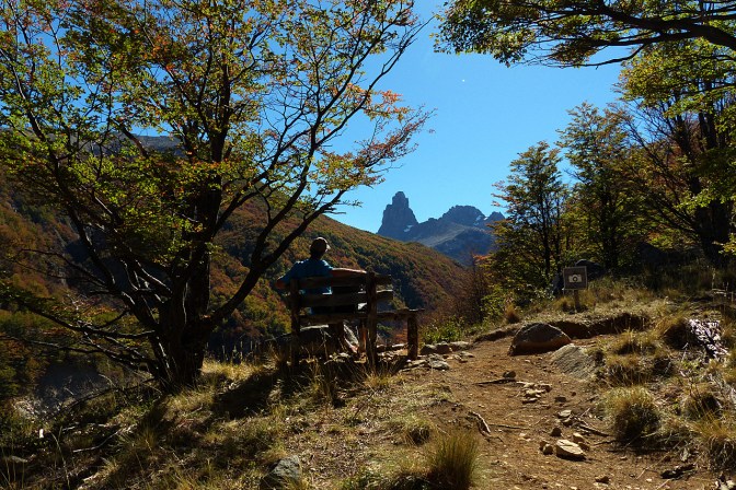A bench with a view.
