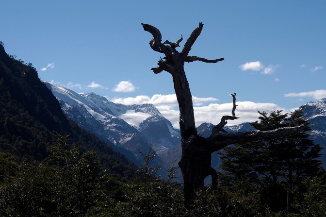 The view from the pass in Queulat National Park.