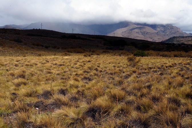 Pampa north of San Martin De Los Andes.