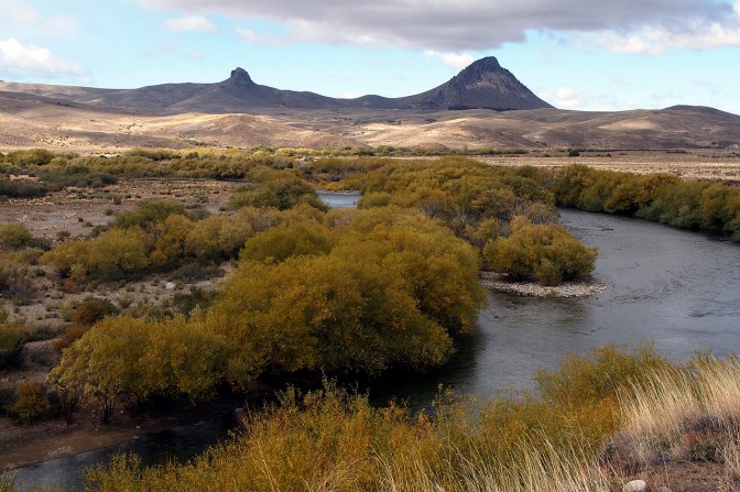 Rio Chimehuin south of Junin De Los Andes.