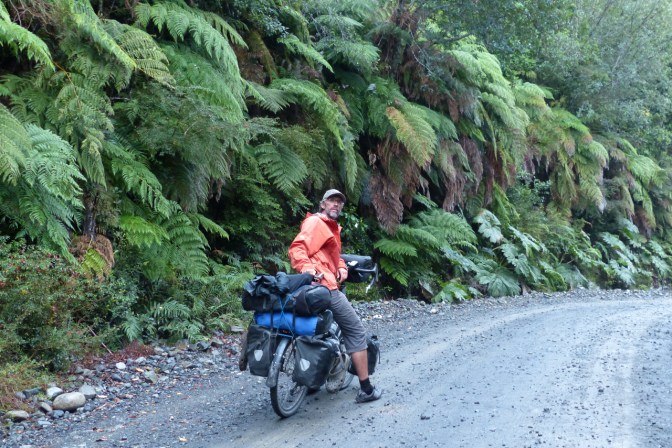 Lush rain forest along the road from Chaitén to Caleta Gonzalo.