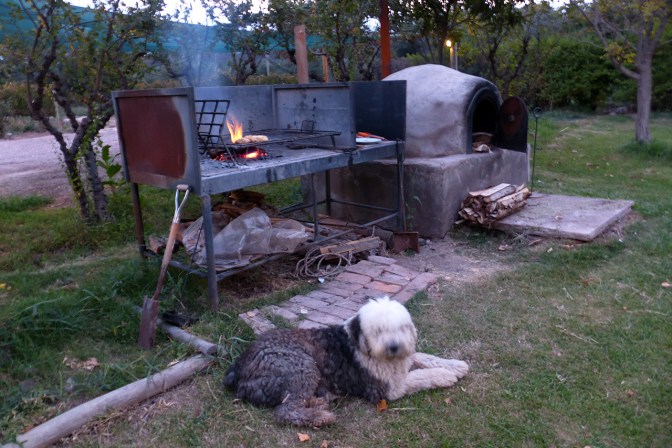 Tommy by the grill at Posaea Cavieres.