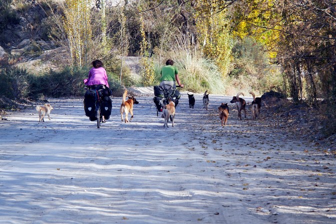Leaving Potrerillos with a pack of dogs in tow.