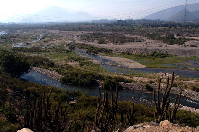 Cactus along the road and fruit farms just below in the valley along the road from San Felipe to the coast.