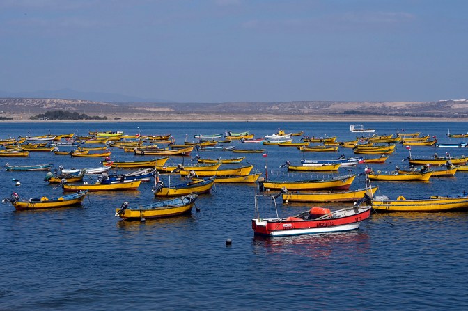 Tongoy fishing boats.
