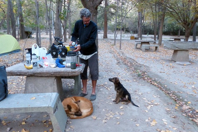 Paul making dinner with an audience in the Potrerillos camp site.