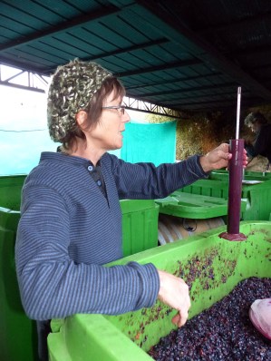 Jenn checking the fermentation.