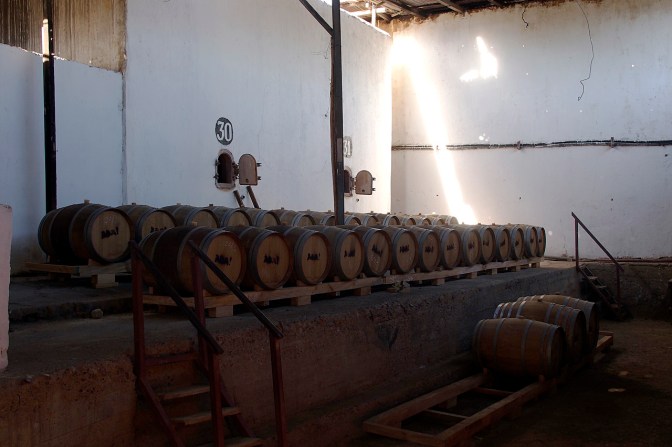 Aba Pisco aging in oak.