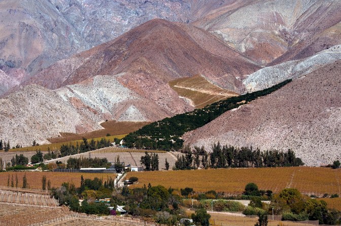 Colourful Elqui Valley near Paiguano.
