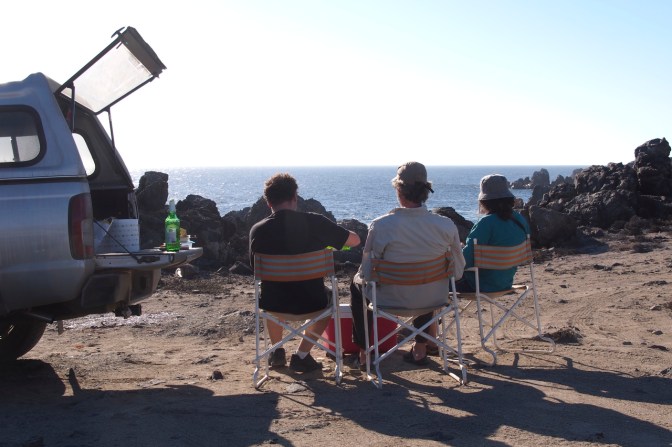 A picnic with Andres.