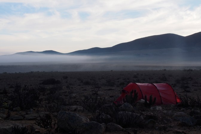 Our camp in the desert north of Huasco.