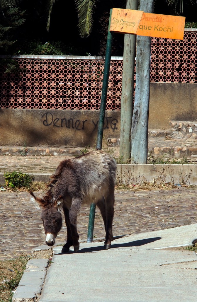 Heavy traffic in Aiquile.