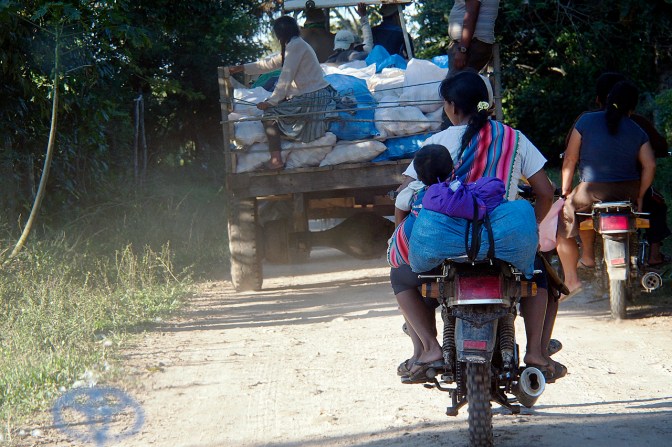 Family motorcycle: an infant hanging off the back, mom, dad and two more kids in the front. Mom is holding a gun in her right hand.