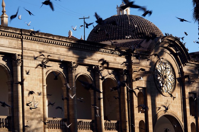 Pigeons at the Metropolitan Cathedral in Cochabamba.