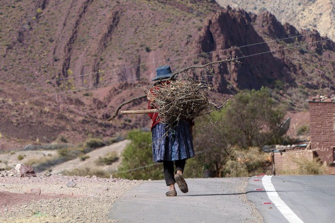 Gathering firewood near Pelca.