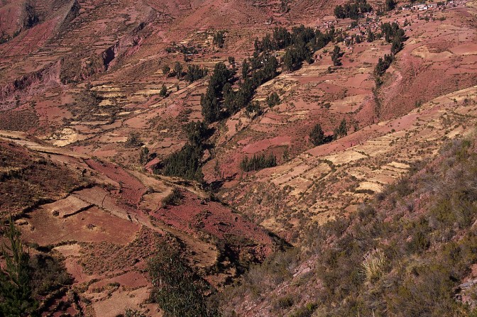 Cultivated hillsides near Pongo.