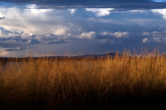 Sky and reeds on Lake Titicaca near Uros.