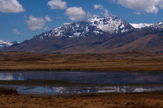Snowcapped mountains appear near Santa Rosa