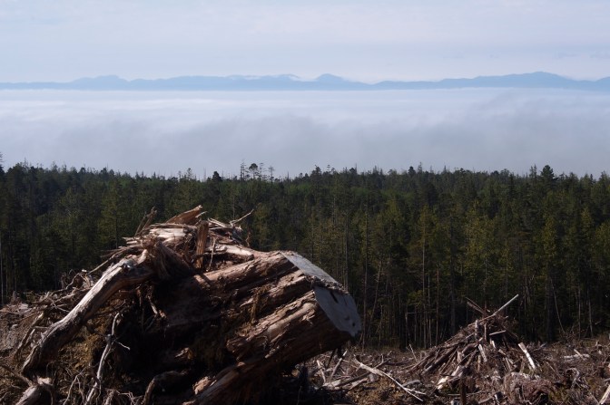 The Olympic Peninsula across the Strait of Juan de Fuca.
