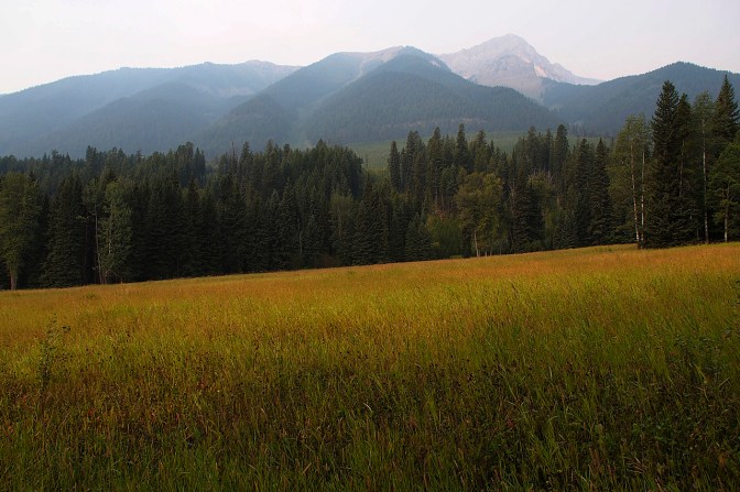 Grassland north of Elkford.