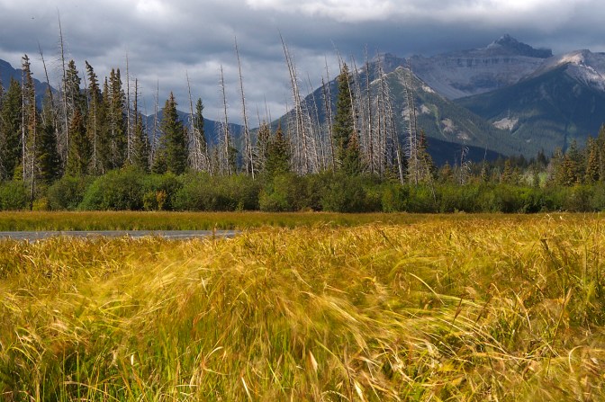 Vermillion Lakes in Banff.