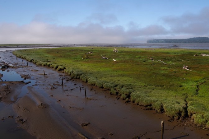 Tidal flats in North Bay near Markham, WA
