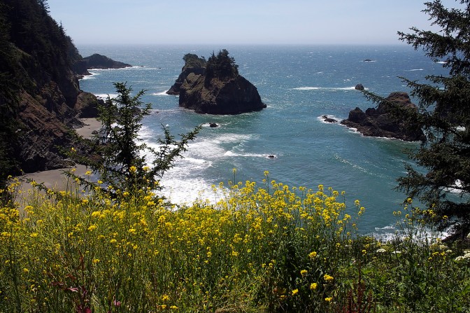 One of the viewpoints near Cape Sebastian.