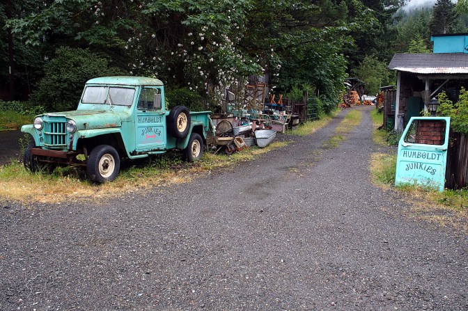 Humboldt Junkies in Redcrest.