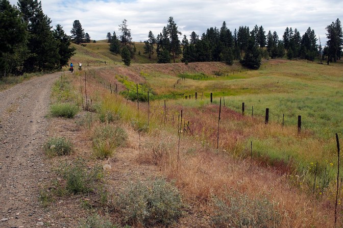 The raised trail through grasslands north of Princeton.