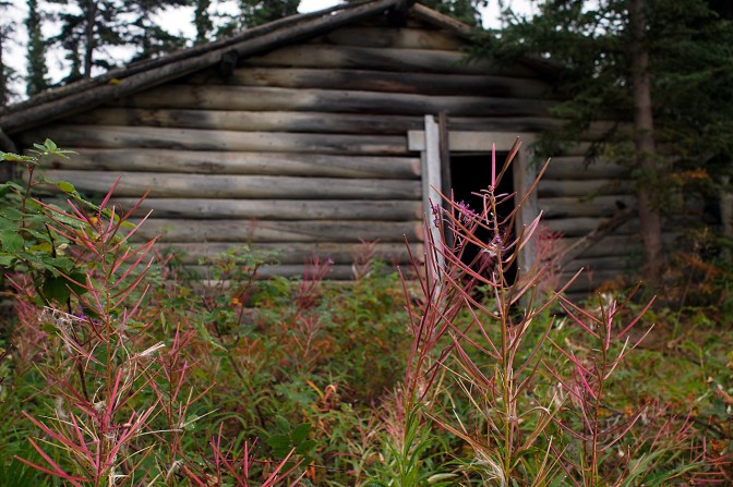 One of the remaining buildings at Lower Laberge.